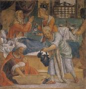 LUINI, Bernardino Birth Maria France oil painting artist